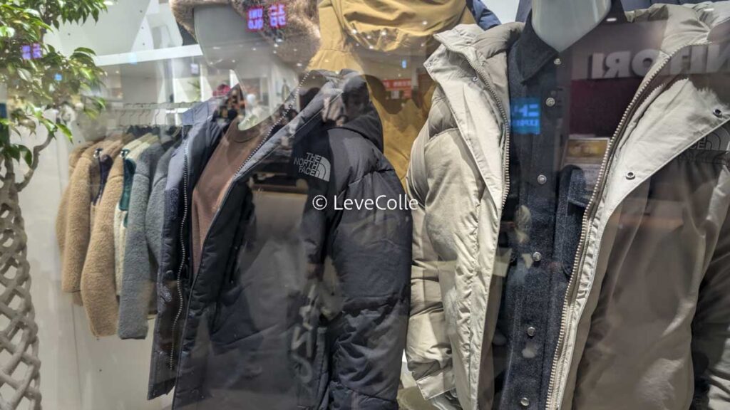 THE NORTH FACE