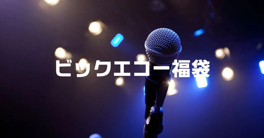 ビックエコー福袋2026