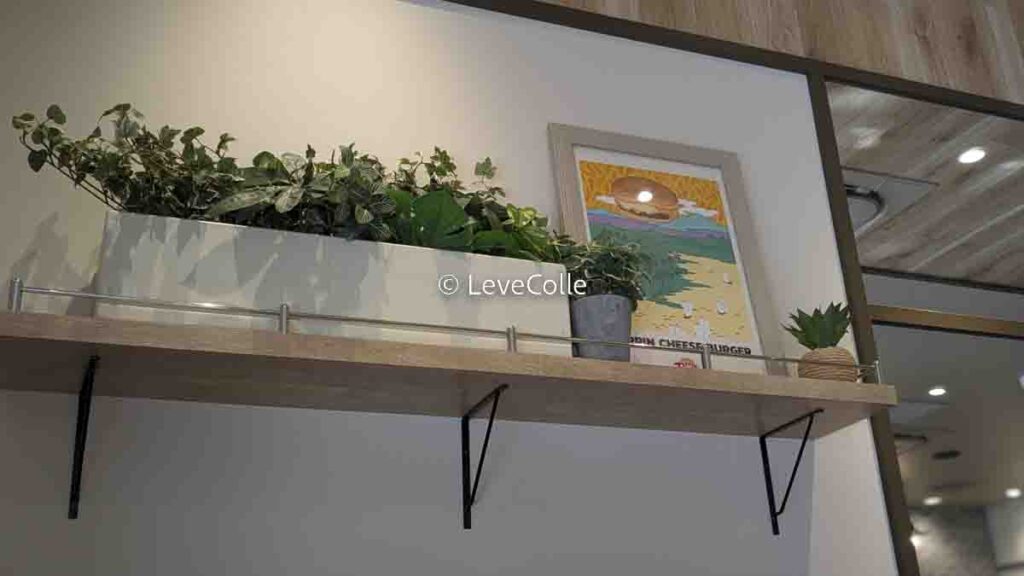 ゼッテリアロッテリア違い