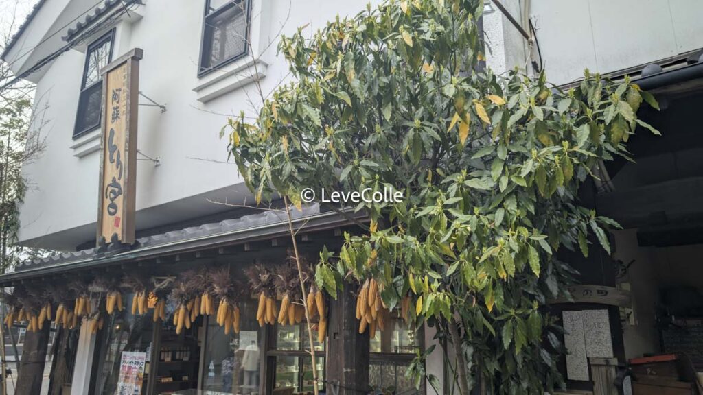阿蘇神社食べ歩き