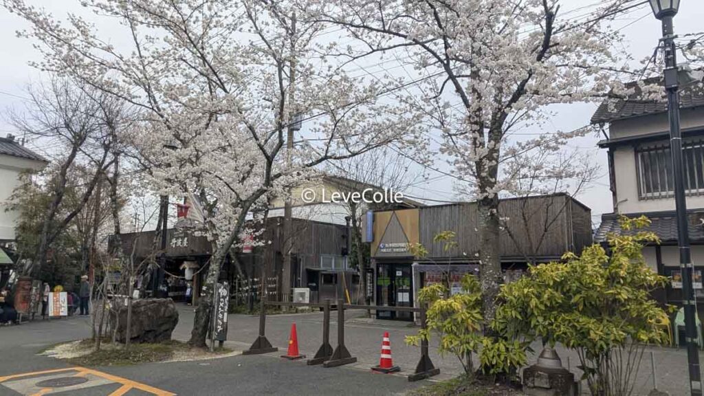 阿蘇神社食べ歩き