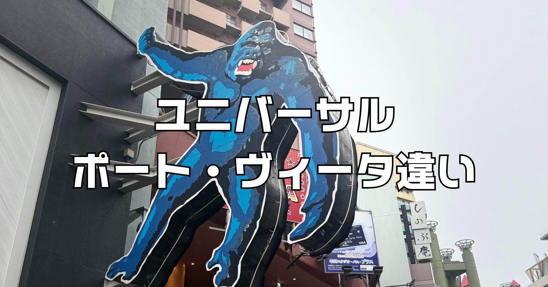 ユニバーサルポートヴィータ違い