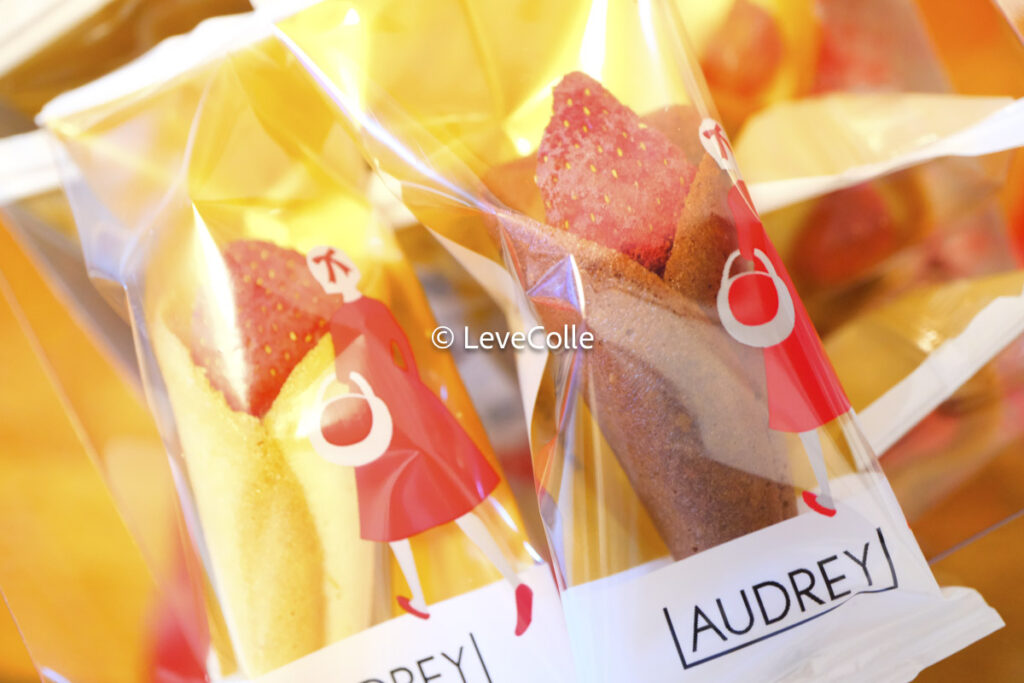 オードリーグレイシア