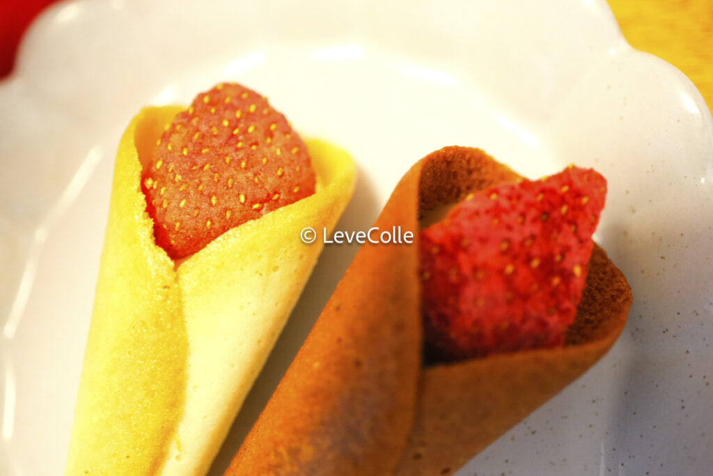 オードリーグレイシア