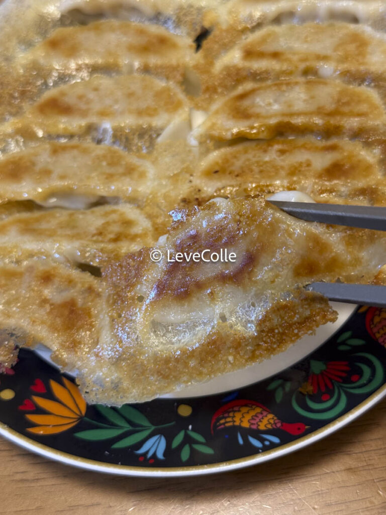 しょうがギョーザ