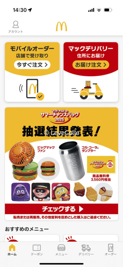 マクドナルドサマーバッグ2025