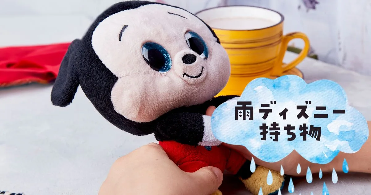 雨ディズニー持ち物