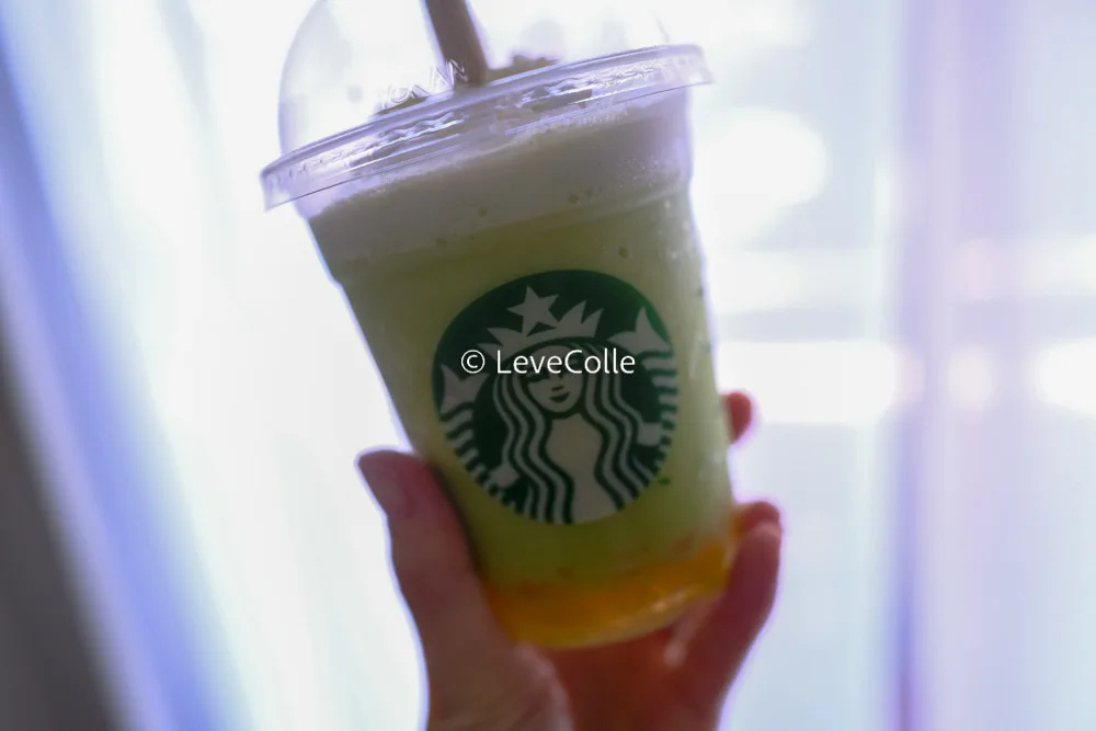 GOHOBIメロンフラペチーノ