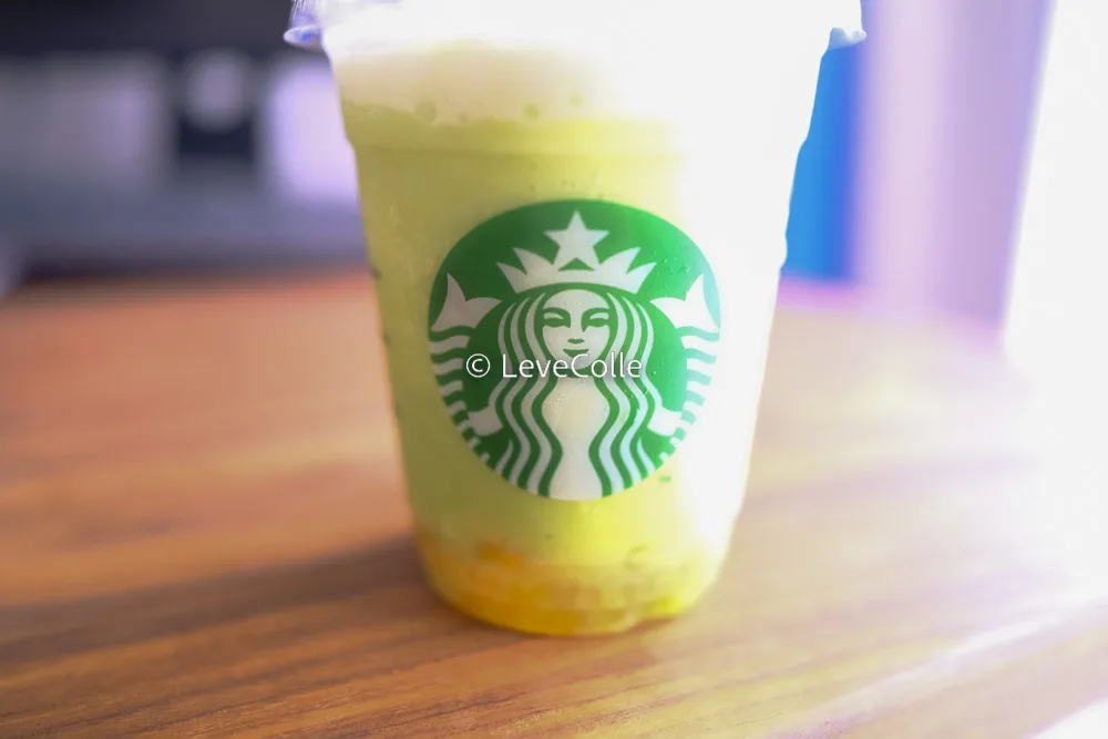 GOHOBIメロンフラペチーノ