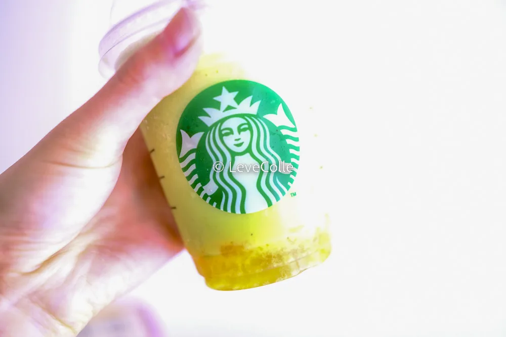GOHOBIメロンフラペチーノ