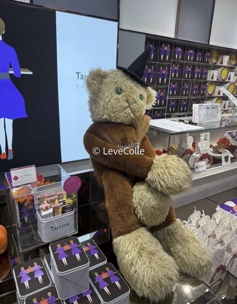 タルティン店舗