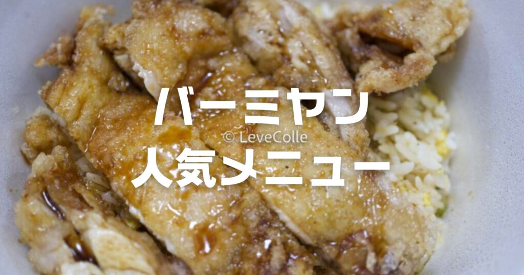 バーミヤン人気メニュー