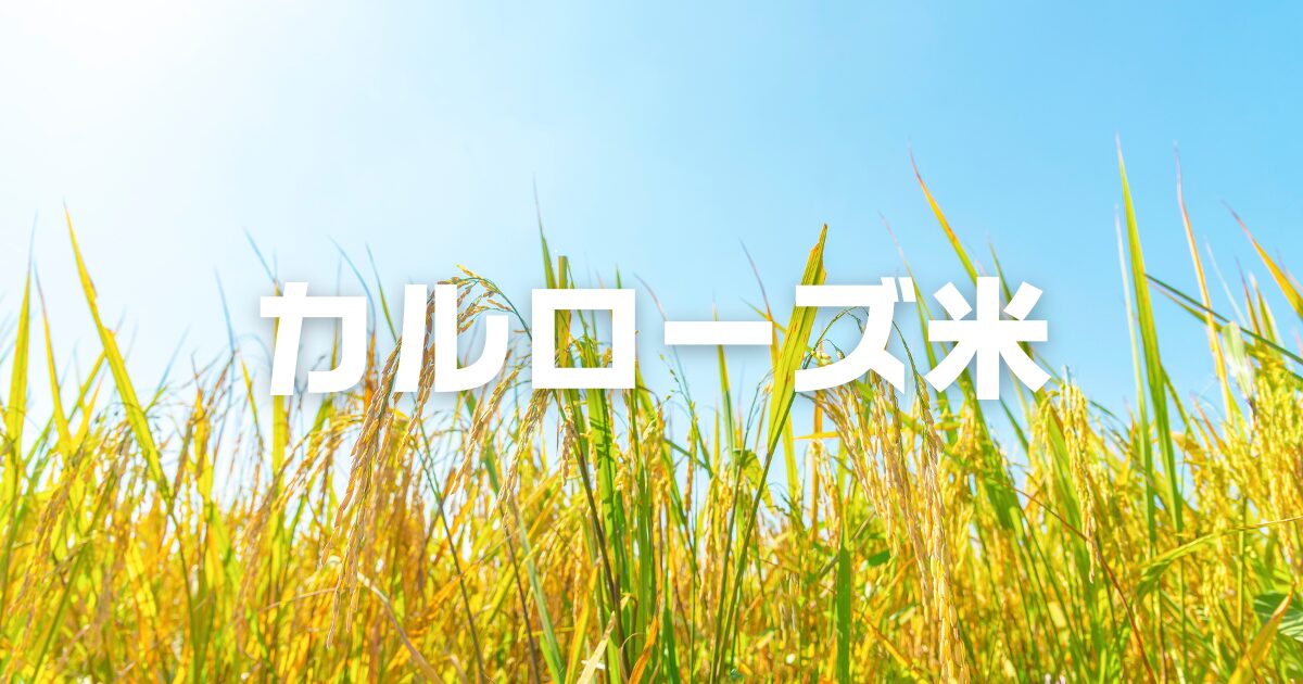 カルローズ米業務スーパー