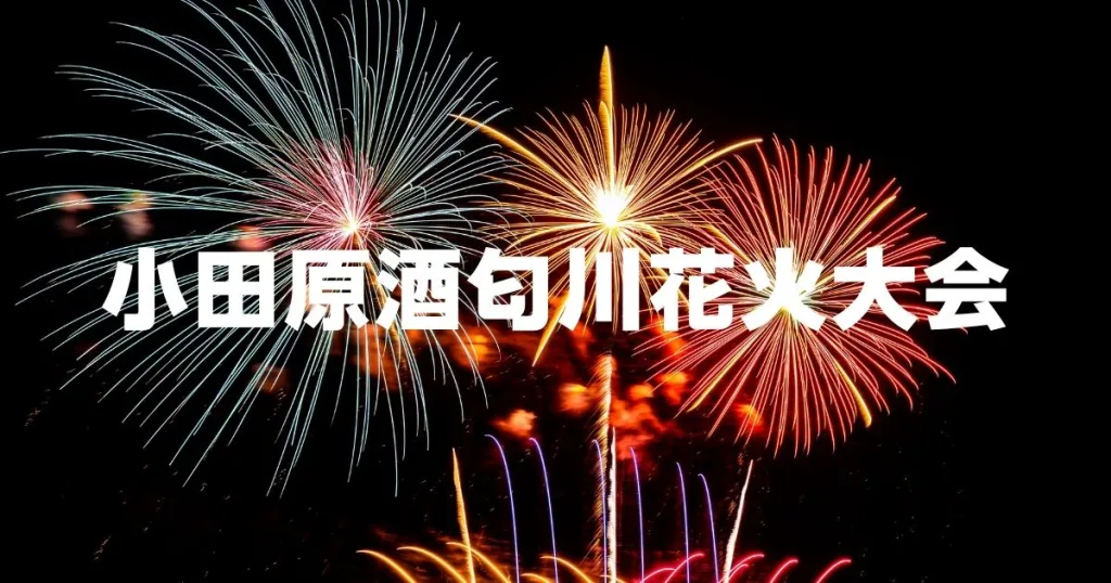 小田原酒匂川花火大会