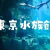 東京水族館大きい順