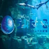 うみたまご半額クーポン