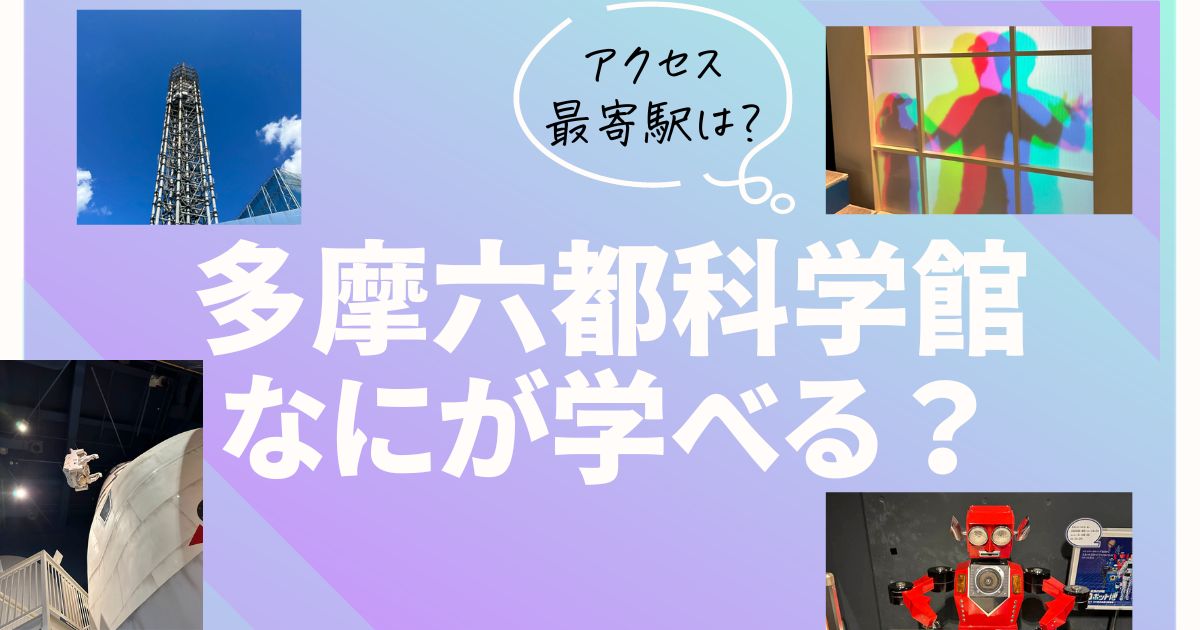 コラム